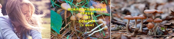 винт Протвино
