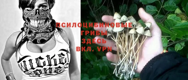 винт Протвино