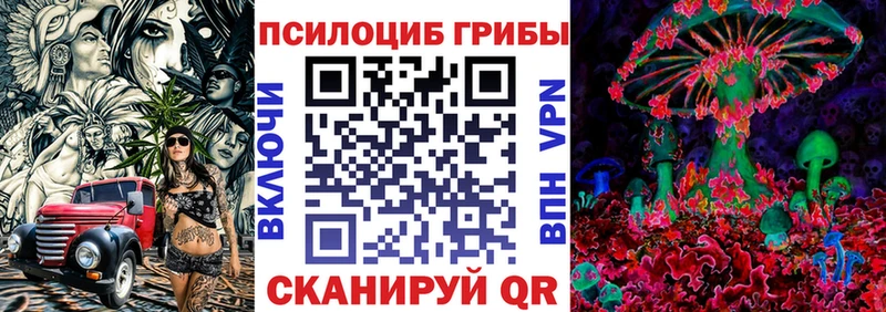 Купить  Лангепас  Галлюциногенные грибы Cubensis 